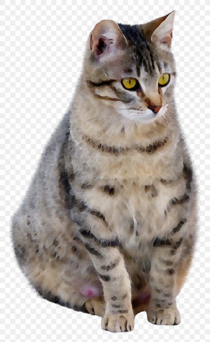 American Shorthair Clip Art British Shorthair Tabby Cat, PNG, 880x1428px, American Shorthair, Aegean Cat, American Bobtail, American Wirehair, Arabian Mau Download Free