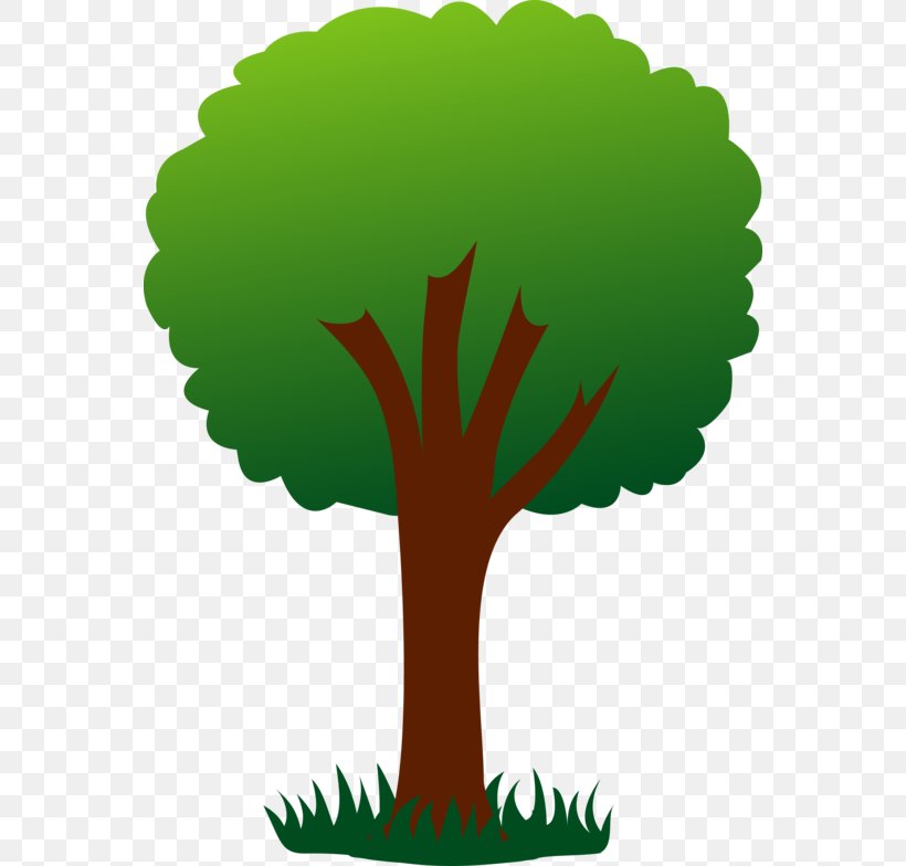 Tree Farm Clip Art, PNG, 560x784px, Tree, Branch, Christmas Tree, Diagram, Drawing Download Free