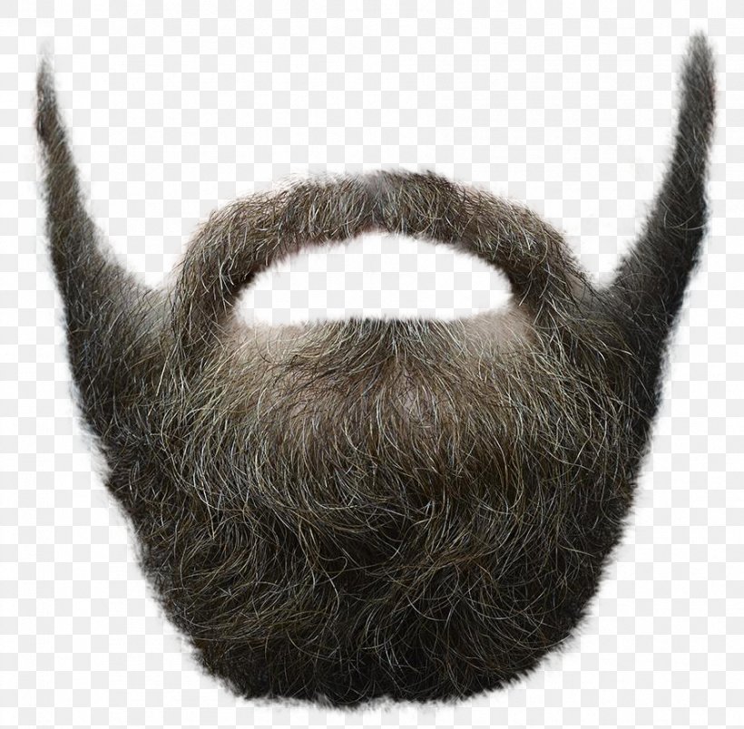 Beard Clip Art, PNG, 893x876px, Santa Claus, Beard, Cat, Facial Hair, Fur Download Free