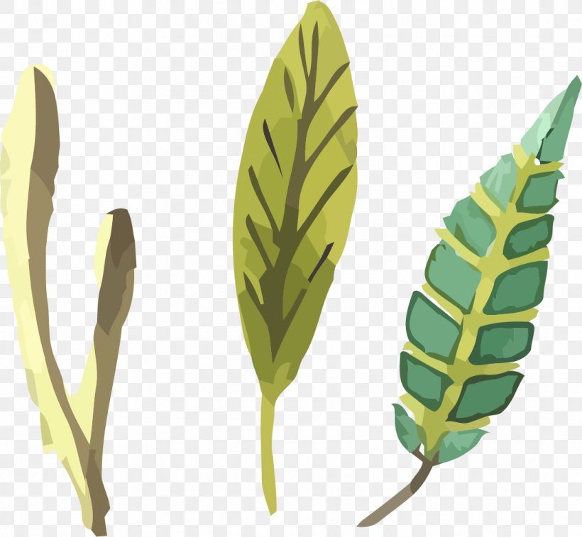 Illustration Design Image Leaf, PNG, 1084x1001px, Leaf, Arrowroot Family, Botany, Cartoon, Designer Download Free