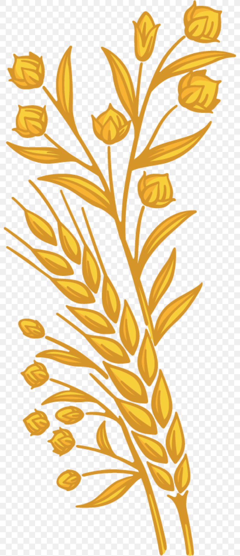 Whole Grain Bread Bagel Gluten Clip Art, PNG, 796x1902px, Whole Grain, Bagel, Branch, Bread, Cereal Germ Download Free