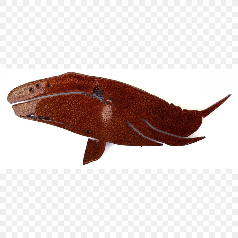 Fish, PNG, 1200x1200px, Fish, Organism Download Free