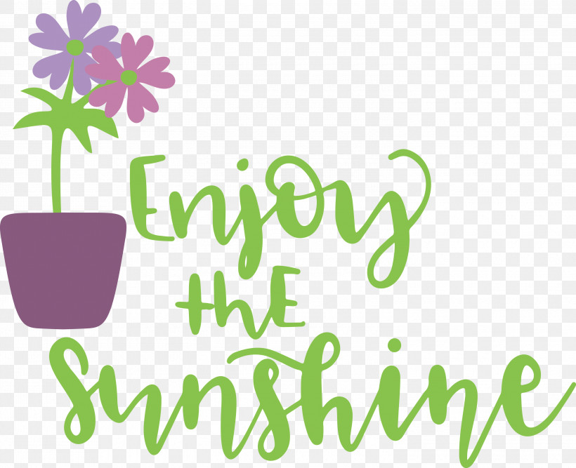 Sunshine Enjoy The Sunshine, PNG, 3000x2443px, Sunshine, Floral Design, Flower, Green, Leaf Download Free