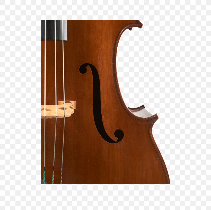 Bass Violin Double Bass Violone Viola Octobass, PNG, 500x816px, Bass Violin, Acoustic Electric Guitar, Acousticelectric Guitar, Bass Guitar, Bowed String Instrument Download Free