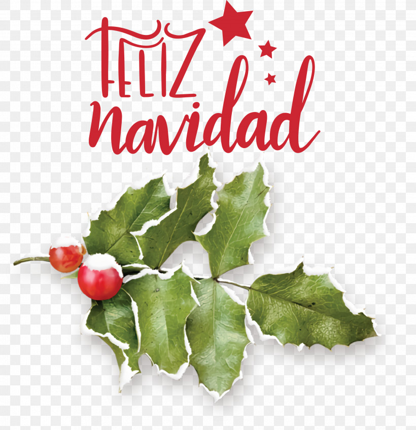 Feliz Navidad Merry Christmas, PNG, 2898x3000px, Feliz Navidad, Branch, Common Holly, Grape Leaves, Holly Download Free