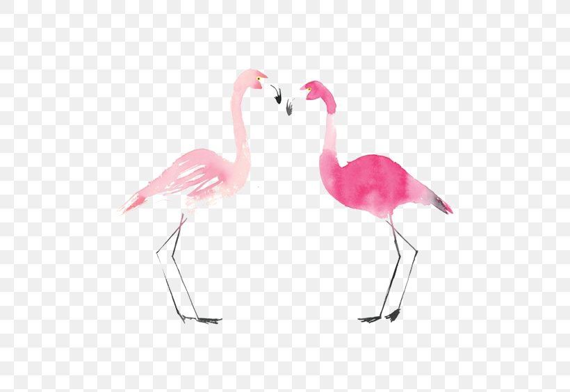 Flamingo Bird Drawing Painting, PNG, 564x564px, Flamingo, Animal, Beak, Bird, Crane Like Bird Download Free