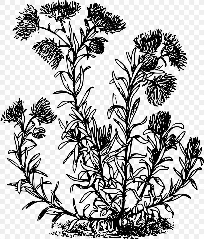 Flower Windows Metafile Clip Art, PNG, 1094x1280px, Flower, Black And White, Branch, Drawing, Flora Download Free