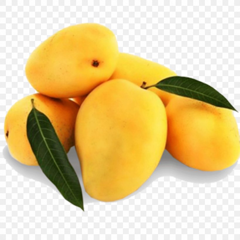 Mangifera Indica Mango Juice Alphonso Benishan, PNG, 1024x1024px, Mangifera Indica, Alphonso, Ataulfo, Benishan, Citrus Download Free