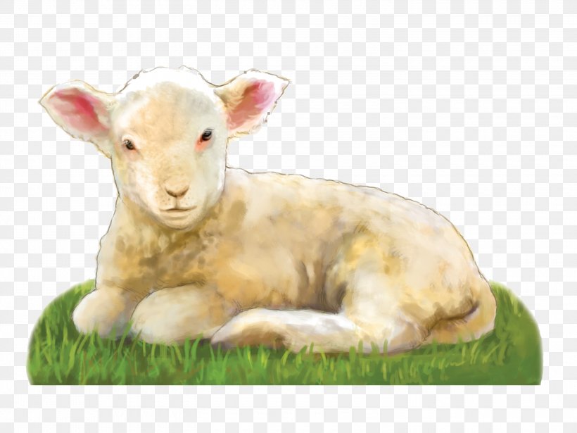 Sheep Goat Prayer Clip Art, PNG, 3000x2250px, Sheep, Cattle, Cattle Like Mammal, Child, Cow Goat Family Download Free