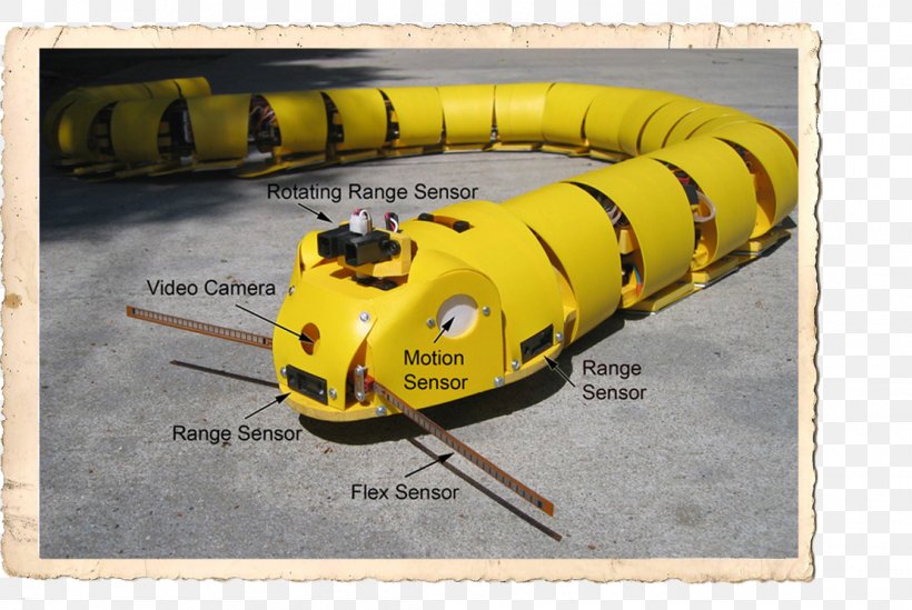 Snake 杯弓蛇影 Robot Artificial Intelligence Earthquake, PNG, 1111x745px, Snake, Artificial Intelligence, Bionics, Chengyu, Disgust Download Free