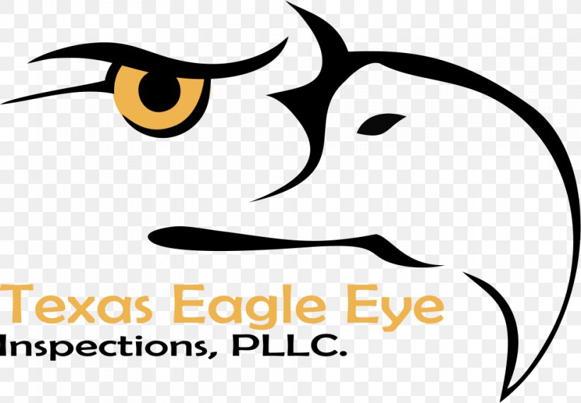 Texas Eagle Eye Inspections, PLLC. Home Inspection 0, PNG, 983x684px, 2008, Home Inspection, Area, Artwork, Beak Download Free
