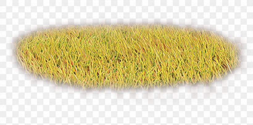 Brush Background, PNG, 1880x929px, Commodity, Brush, Grass, Household Cleaning Supply, Household Supply Download Free