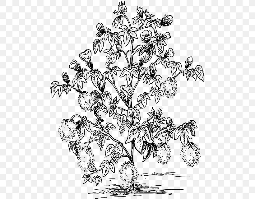 Clip Art Free Content Openclipart, PNG, 495x640px, Cotton, Artwork, Black And White, Branch, Drawing Download Free