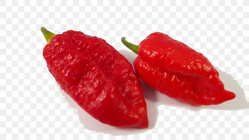 Habanero Piquillo Pepper Bird's Eye Chili Tabasco Pepper Cayenne Pepper, PNG, 1820x1024px, Habanero, Auglis, Bell Peppers And Chili Peppers, Capsicum, Capsicum Annuum Download Free