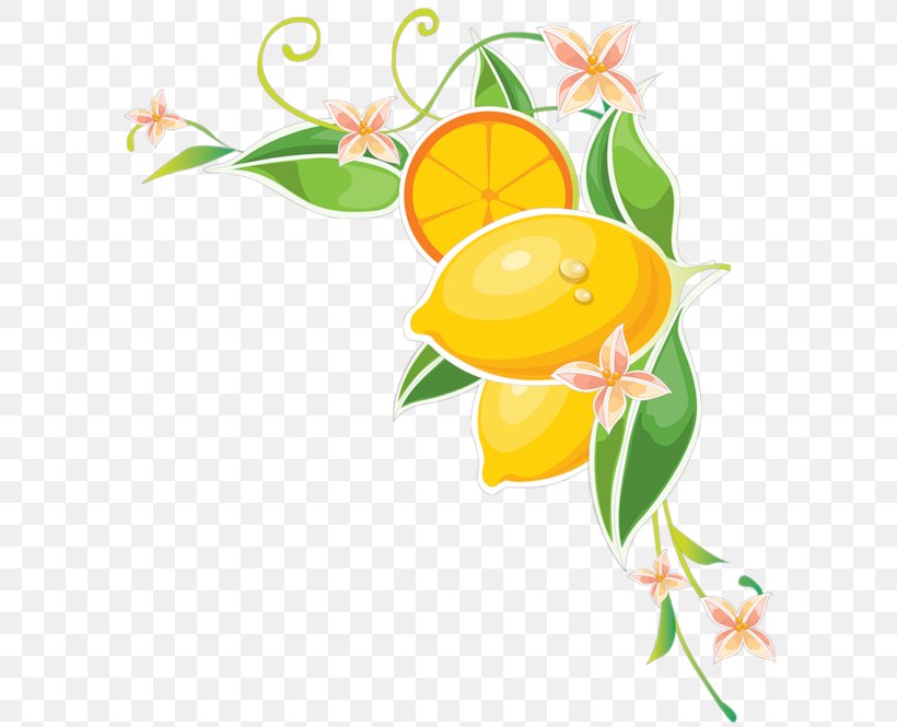 Lemon Juice Clip Art, PNG, 600x665px, Lemon, Artwork, Branch, Citrus, Flora Download Free
