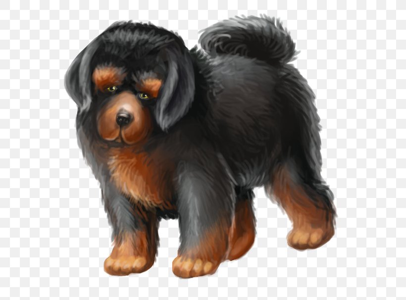 Rottweiler Puppy Companion Dog Dog Breed, PNG, 742x606px, Rottweiler, Breed, Carnivoran, Companion Dog, Dog Download Free