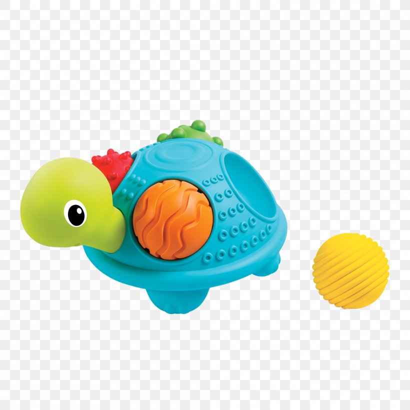Turtle Sense Sensory Nervous System Child Crocodile, PNG, 1000x1000px, Turtle, Baby Toys, Child, Color, Crocodile Download Free