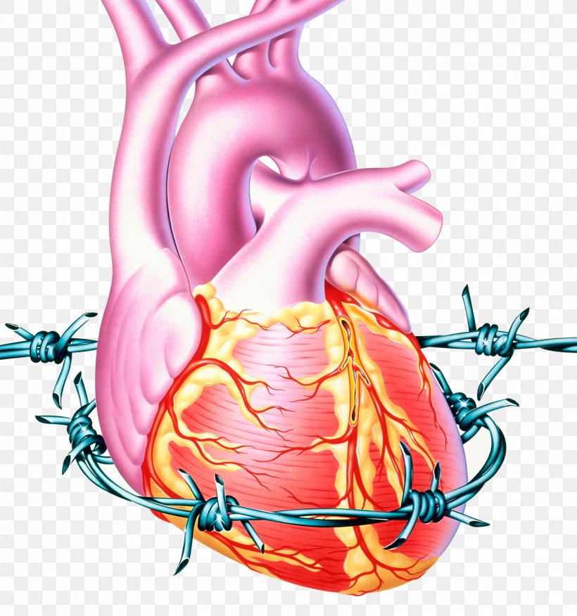 Angina Pectoris Cardiopatia Isquxe8mica Heart Disease Ischemia, PNG, 1385x1481px, Watercolor, Cartoon, Flower, Frame, Heart Download Free