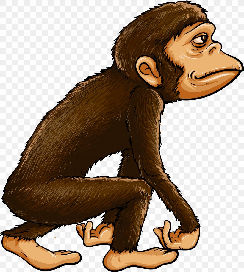 Chimpanzee Ape Primate Monkey, PNG, 3441x3838px, Chimpanzee, Ape, Carnivoran, Cartoon, Drawing Download Free