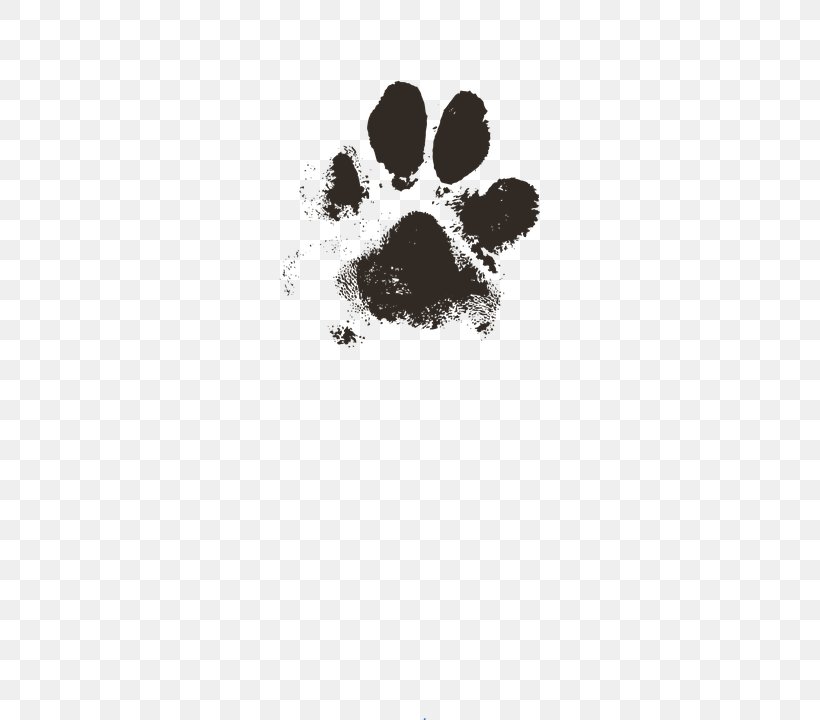 Dog Puppy Paw Cat Pet, PNG, 360x720px, Dog, Animal Shelter, Black, Black And White, Cat Download Free