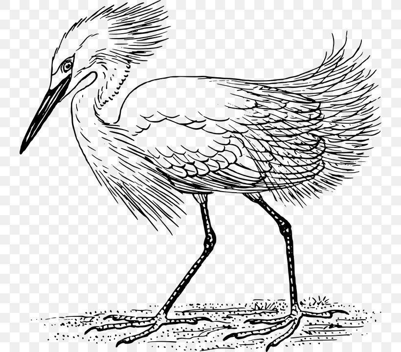 Heron Crane Great Egret Clip Art, PNG, 740x720px, Heron, Art, Artwork, Beak, Bird Download Free