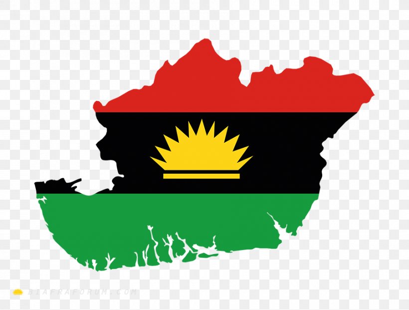 Indigenous People Of Biafra Nigerian Civil War Flag Of Biafra, PNG, 900x682px, Biafra, Artwork, Brand, Chimamanda Ngozi Adichie, Igbo People Download Free