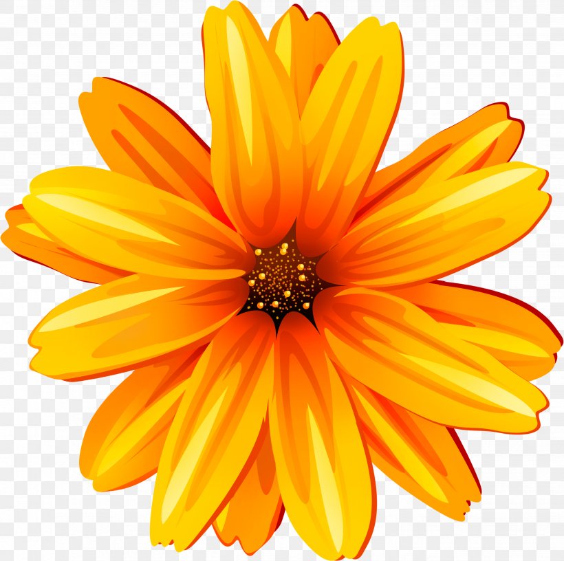 Common Sunflower, PNG, 2654x2644px, Common Sunflower, Calendula, Cut Flowers, Daisy Family, Flower Download Free