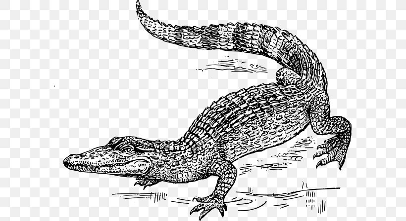 Crocodile Alligator Drawing Clip Art, PNG, 600x448px, Crocodile, Alligator, Black And White, Crocodile 2 Death Swamp, Crocodile Clip Download Free