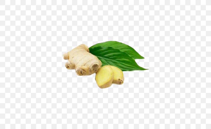 Ginger Alternative Health Services Medicine Therapy Pharmaceutical Drug, PNG, 500x500px, Ginger, Alternative Health Services, Cure, Flavor, Food Download Free