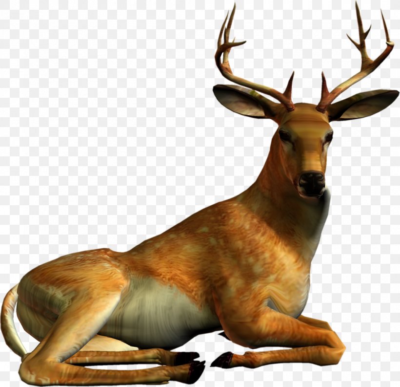 Deer Clip Art, PNG, 1060x1024px, Deer, Animal, Animation, Antelope, Antler Download Free