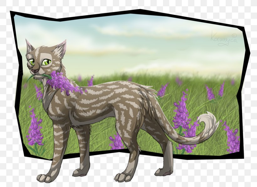 Tabby Cat Kitten Ocicat Warriors Domestic Short-haired Cat, PNG, 800x596px, Tabby Cat, Carnivoran, Cat, Cat Like Mammal, Deviantart Download Free