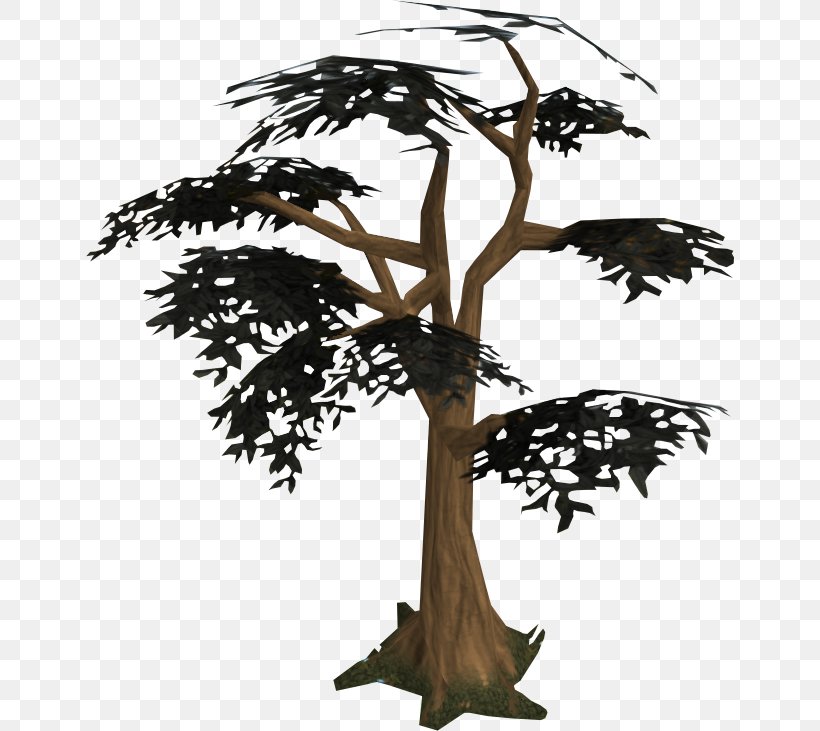 Tree Woody Plant Clip Art, PNG, 648x731px, Tree, Arecaceae, Blog, Branch, Fir Download Free