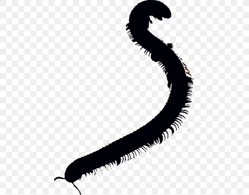 Worm Line White Clip Art, PNG, 500x642px, Worm, Black And White, Invertebrate, Silhouette, White Download Free