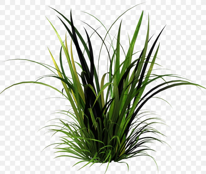Lawn Herbaceous Plant Clip Art, PNG, 1300x1100px, Lawn, Aquarium Decor, Flower, Flowerpot, Garden Download Free