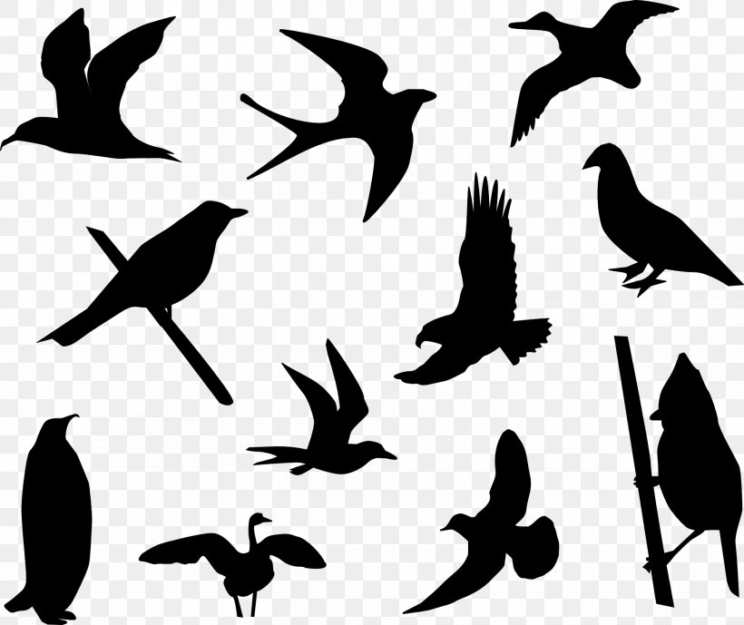 Bird Clip Art Vector Graphics Openclipart, PNG, 1920x1615px, Bird, Animal Migration, Beak, Blackandwhite, Blackbird Download Free