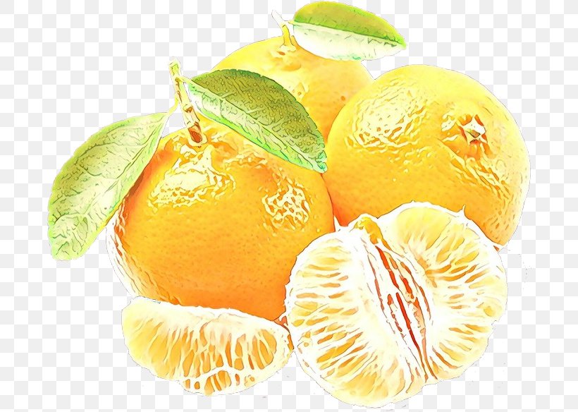 Fruit Citrus Food Plant Mandarin Orange, PNG, 700x584px, Cartoon, Citron, Citrus, Food, Fruit Download Free