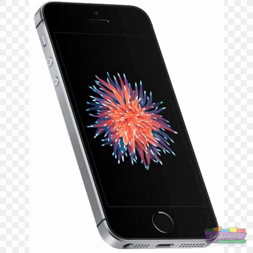 IPhone SE IPhone X Apple IOS IPhone 6S, PNG, 1000x1000px, 64 Gb, Iphone Se, Apple, Apple A9, Cellular Network Download Free