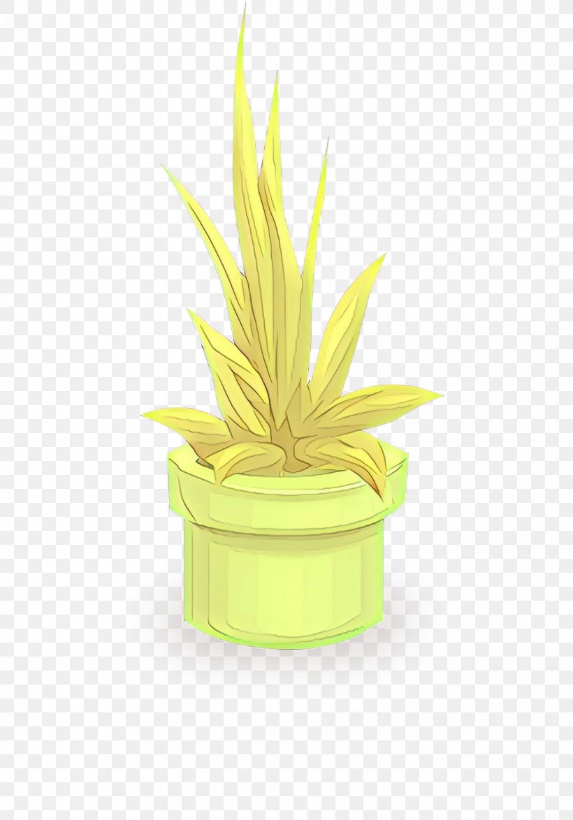 Product Design Flower, PNG, 894x1280px, Flower, Agave, Ananas, Bromeliaceae, Flowerpot Download Free