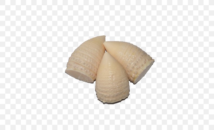 Bamboo Shoot Cockle, PNG, 500x500px, Bamboo Shoot, Cockle, Commodity, Ingredient Download Free