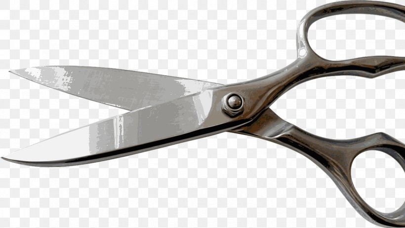 Everyday Life Hair Invention Scissors Business, PNG, 1186x667px, Everyday Life, American Express, Blade, Business, Cold Weapon Download Free