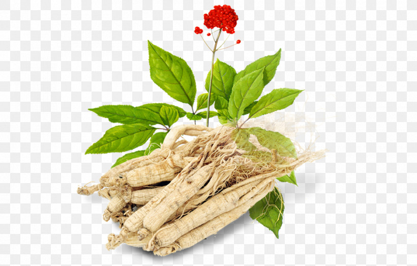Flower Plant Food Herbal Herb, PNG, 940x600px, Flower, Food, Herb, Herbal, Ingredient Download Free