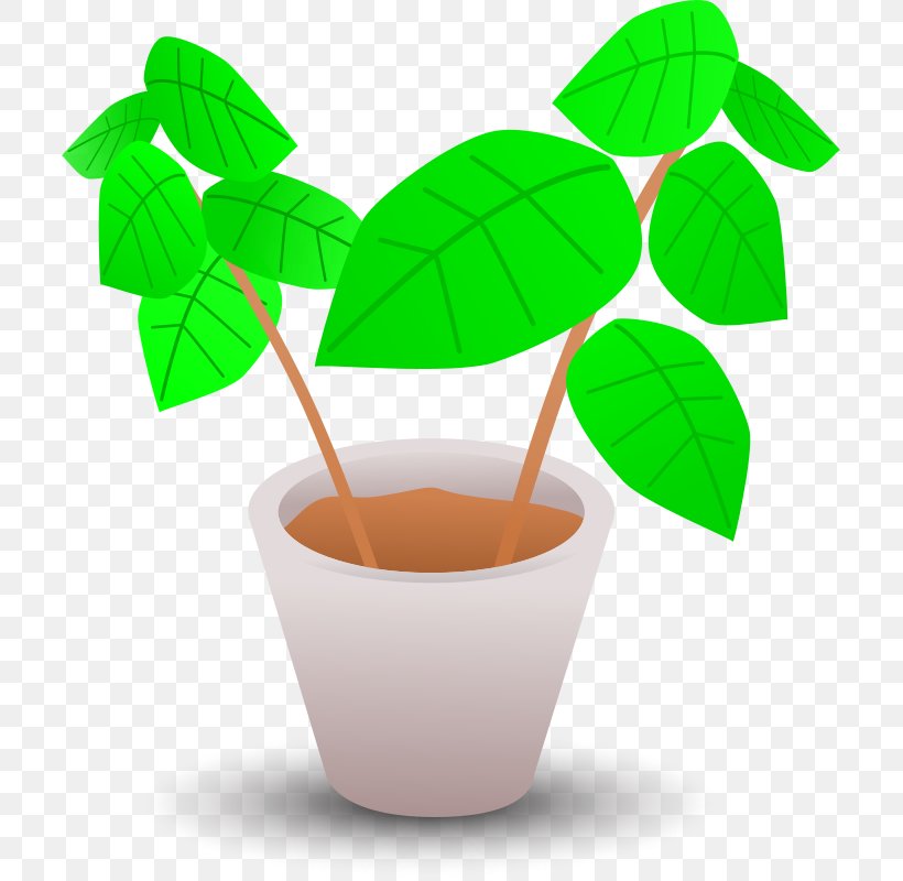 Flowerpot Plant Clip Art, PNG, 707x800px, Flowerpot, Chili Con Carne, Cup, Eye, Forehead Download Free