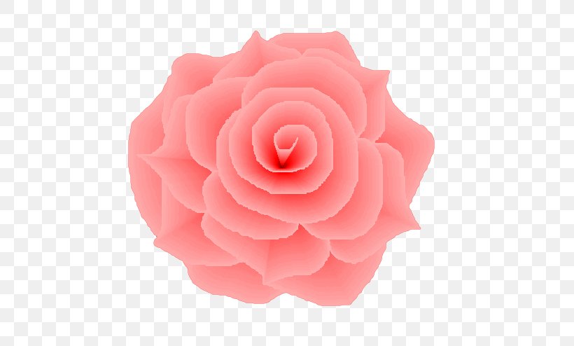 Garden Roses Light Flower Centifolia Roses Pink, PNG, 530x494px, Garden Roses, Centifolia Roses, Chiffon, Color, Cut Flowers Download Free