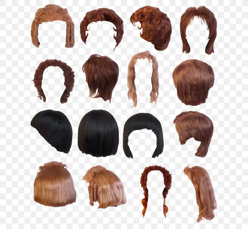 Clip Art, PNG, 650x758px, Hairstyle, Black Hair, Brown Hair, Display Resolution, Fur Download Free