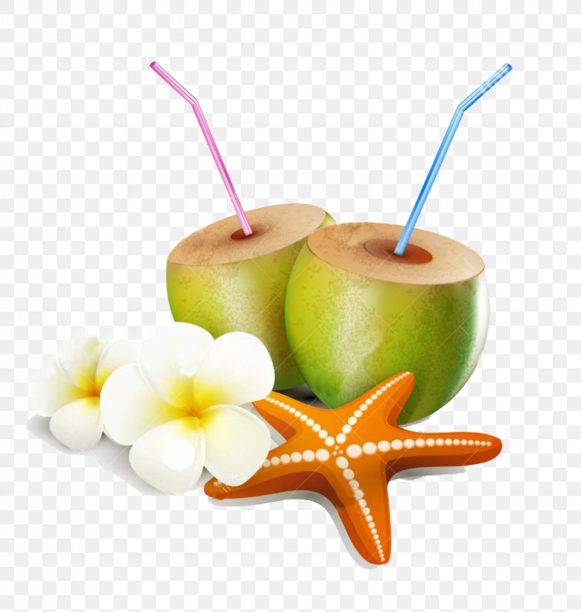 Coconut Water Clip Art Illustration Vector Graphics, PNG, 825x870px, Coconut, Coconut Water, Drink, Flower, Fruit Download Free