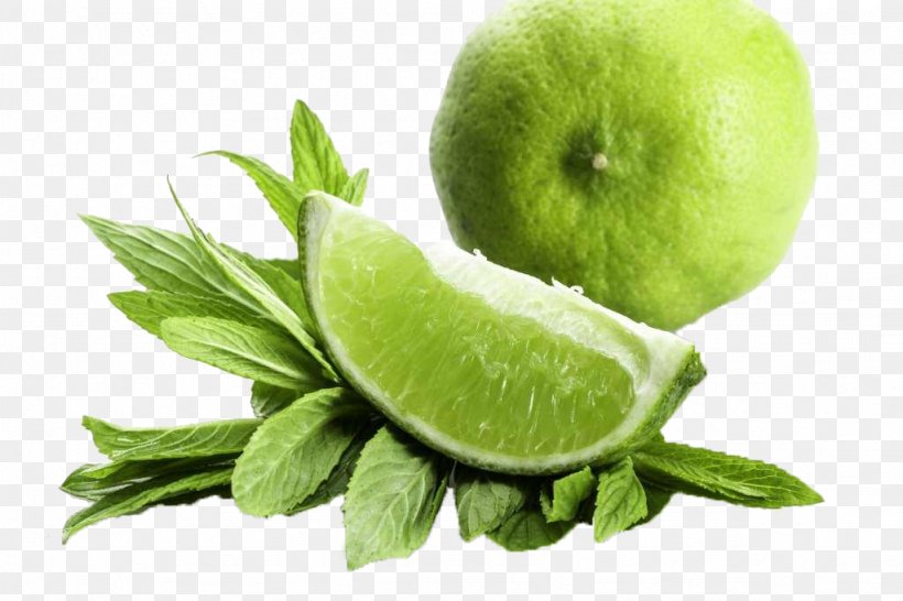 Lemon Key Lime Seed Garden, PNG, 1024x682px, Lemon, Apple, Bonsai, Citric Acid, Citrus Download Free