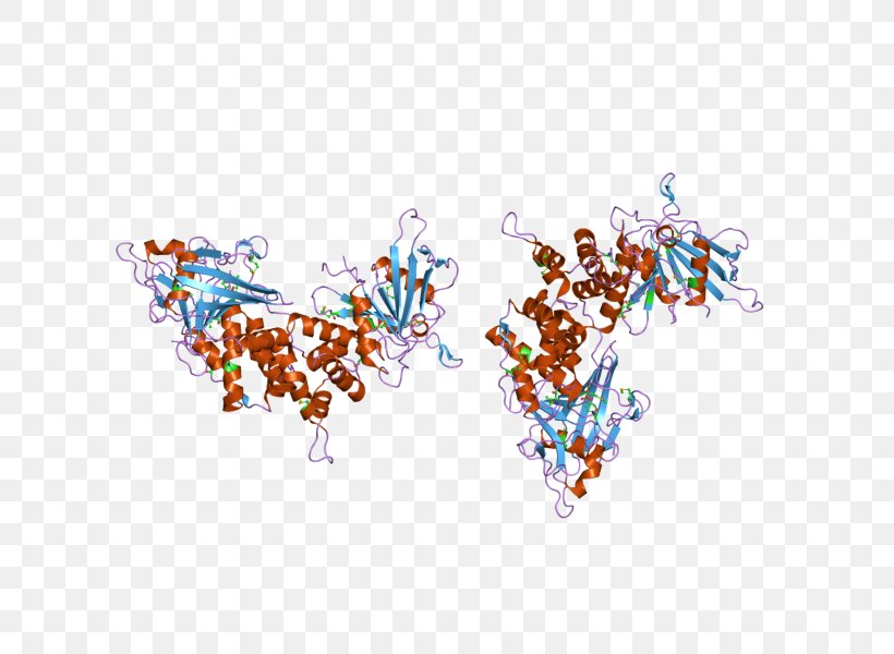 PTPRC Crystal Structure Protein Tyrosine Phosphatase, PNG, 800x600px, Watercolor, Cartoon, Flower, Frame, Heart Download Free