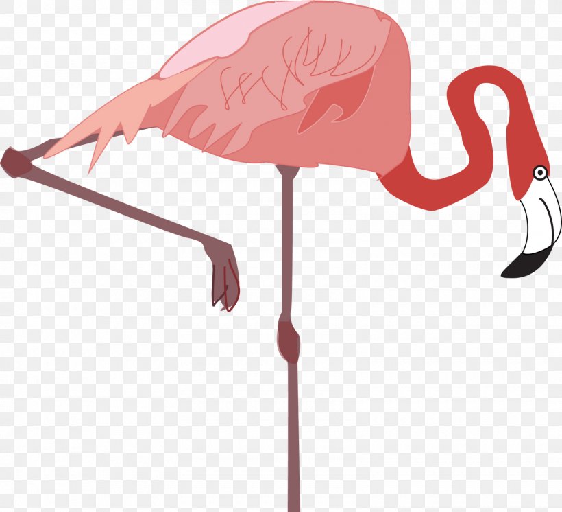 Vertebrate Water Bird Flamingo Drawing, PNG, 1600x1456px, Vertebrate, Animal, Beak, Bird, Drawing Download Free