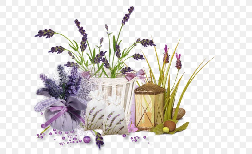 English Lavender Cut Flowers French Lavender Plant, PNG, 624x500px, English Lavender, Cut Flowers, Flora, Floraison, Floral Design Download Free