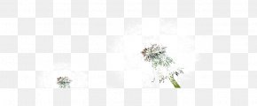 Dandelion - Floral Design Pattern PNG